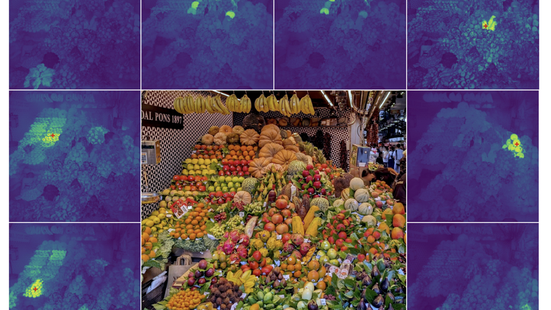 microDINOv3 preview
